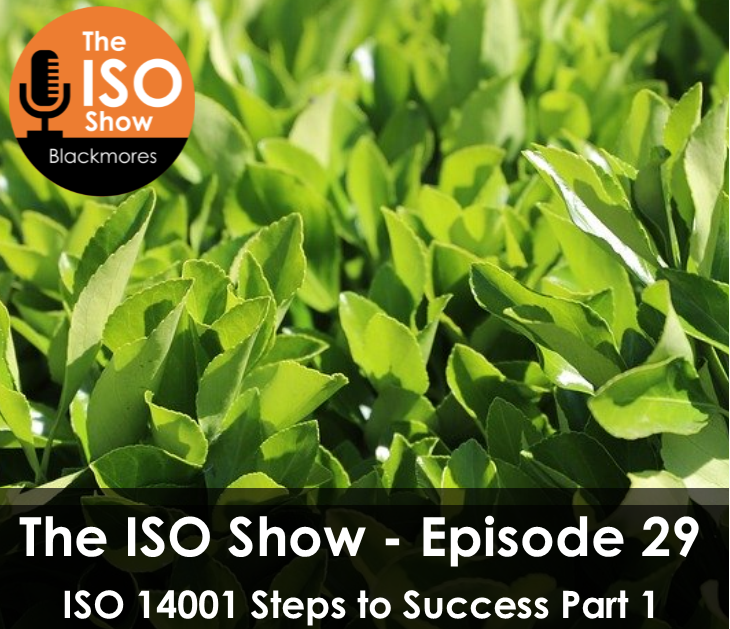 ISO 14001 Steps to success 1