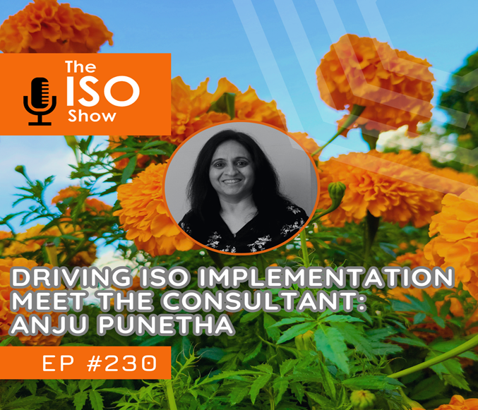 230 Driving ISO Implementation Meet the Consultant Anju Punetha